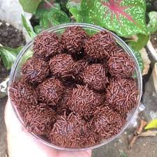 rambutan